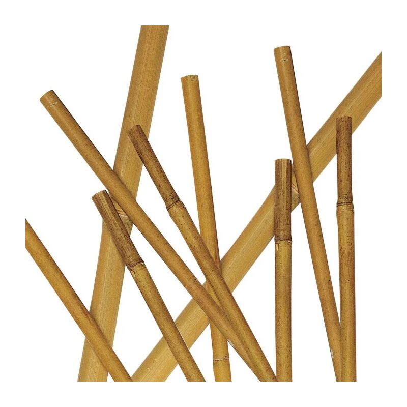 foto del prodotto set 2 cannette bamboo naturale 210cm 16 18mm