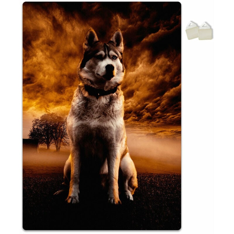 foto del prodotto husky poster in pvc da 3mm misura 70x100 cm