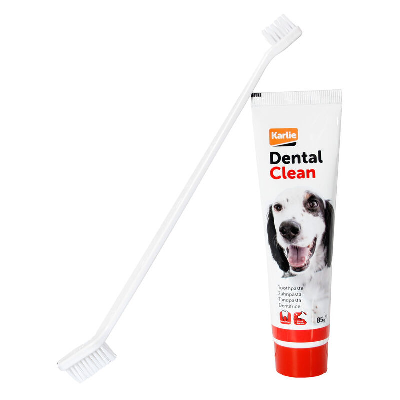 foto del prodotto k f petcare dental pasta brush