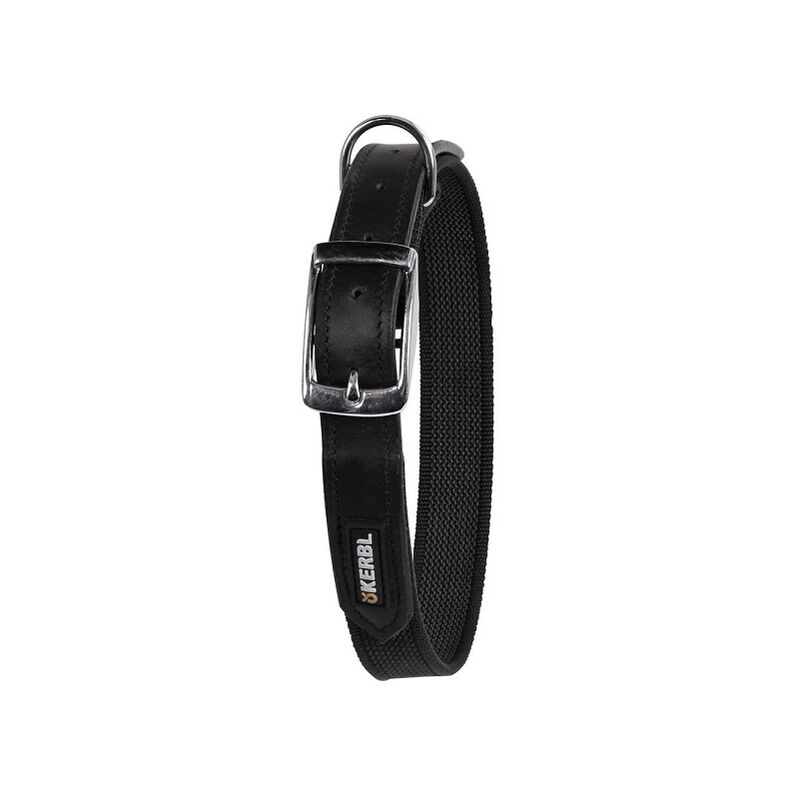foto del prodotto dogbl dogbl dogs per cani 38 46 cm x 20 mm