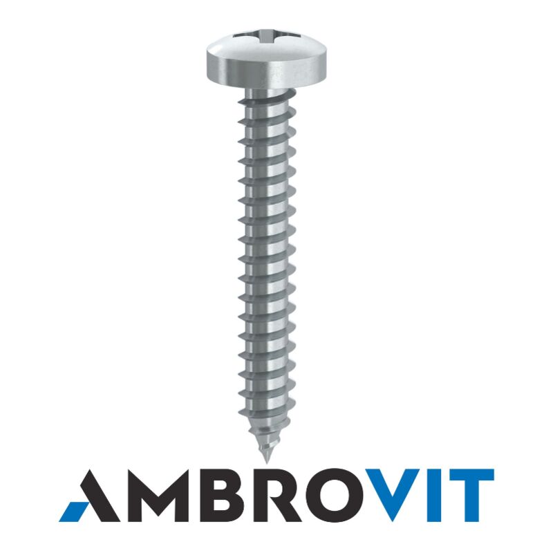 immagine 0 del prodotto vite autofilettante tc znc mm. 4,8x80 60