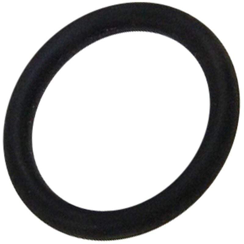 foto del prodotto guarnizione tubo di alimentazione 10mm lavastoviglie brandt 3036913251430470452