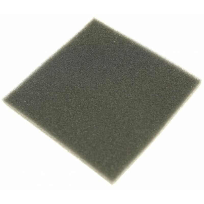 foto del prodotto filtro originale aspirapolvere electrolux 4355088