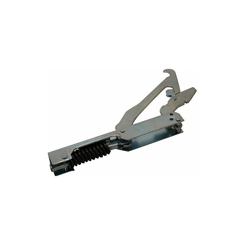 foto del prodotto cerniera dello sportello forni, fornelli elettrici e a gas smeg 328375