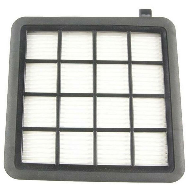 foto del prodotto filtro hepa aspirapolvere electrolux 254408