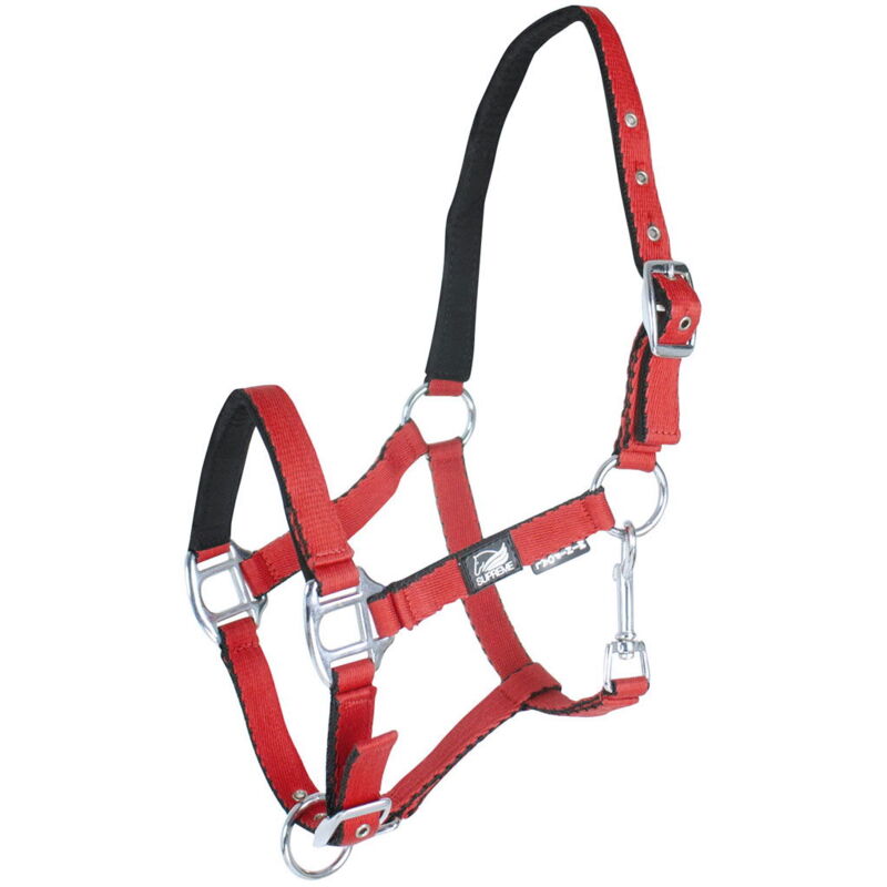 immagine 0 del prodotto shetland mini 00, turchese cavezza puledro soft touch con doppia regolazione