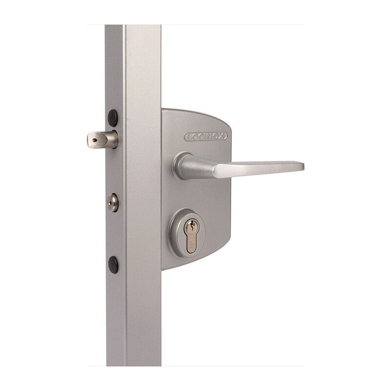 foto del prodotto locinox serrure industrielle argent 4 trous mont.f.60 80mm profil