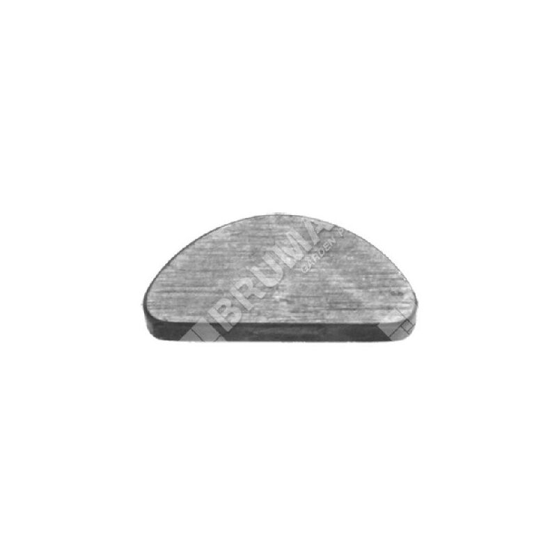 foto del prodotto chiavetta per motori taya sandrigarden 2023160 compatibile 010868