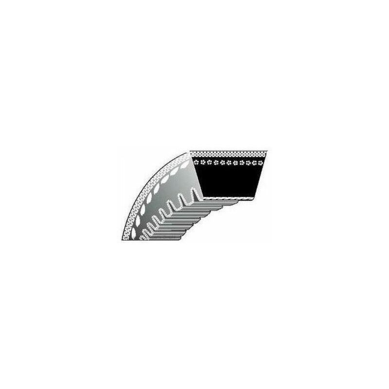 foto del prodotto cinghia dentata motocoltivatore motozappa honda f610 23161 va8 003 22431 735