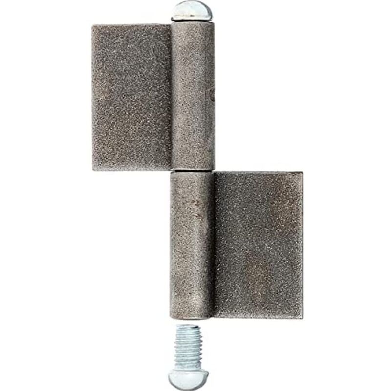foto del prodotto 414412 cerniera per cancelli metallici, acciaio, 100 mm 9 mm 10 st ck alberts