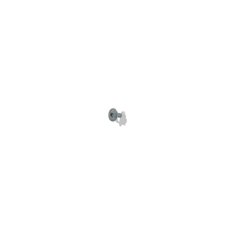 immagine 0 del prodotto testina a vite rif 1602924 compatibile