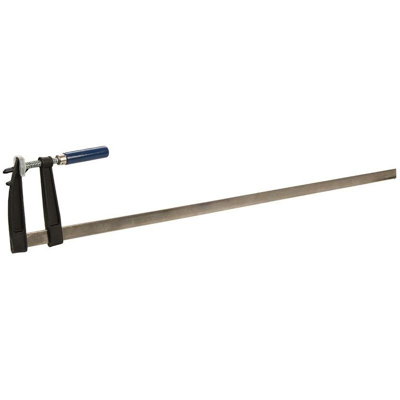 foto del prodotto morsa euro 1000 x 120 mm