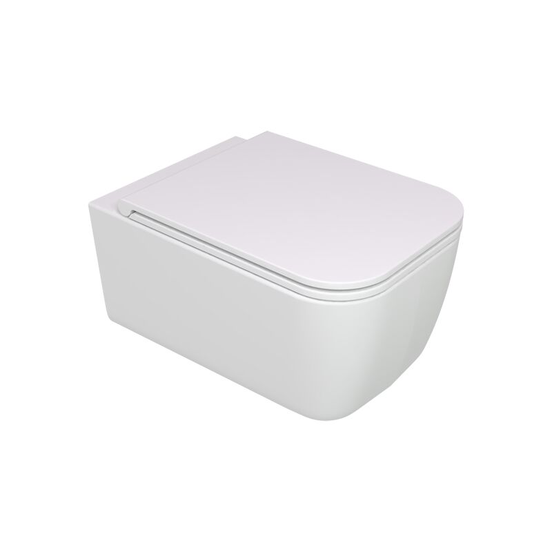 foto del prodotto water brio sospeso senza brida rimless cm. 52 5x36 bianco opaco