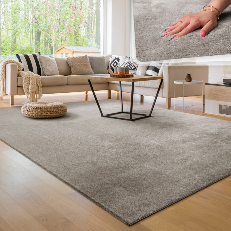 foto del prodotto paco home tappeto moderno per soggiorno a pelo corto lavabile morbido uni effetto pelliccia antiscivolo 60x100 cm, grigio