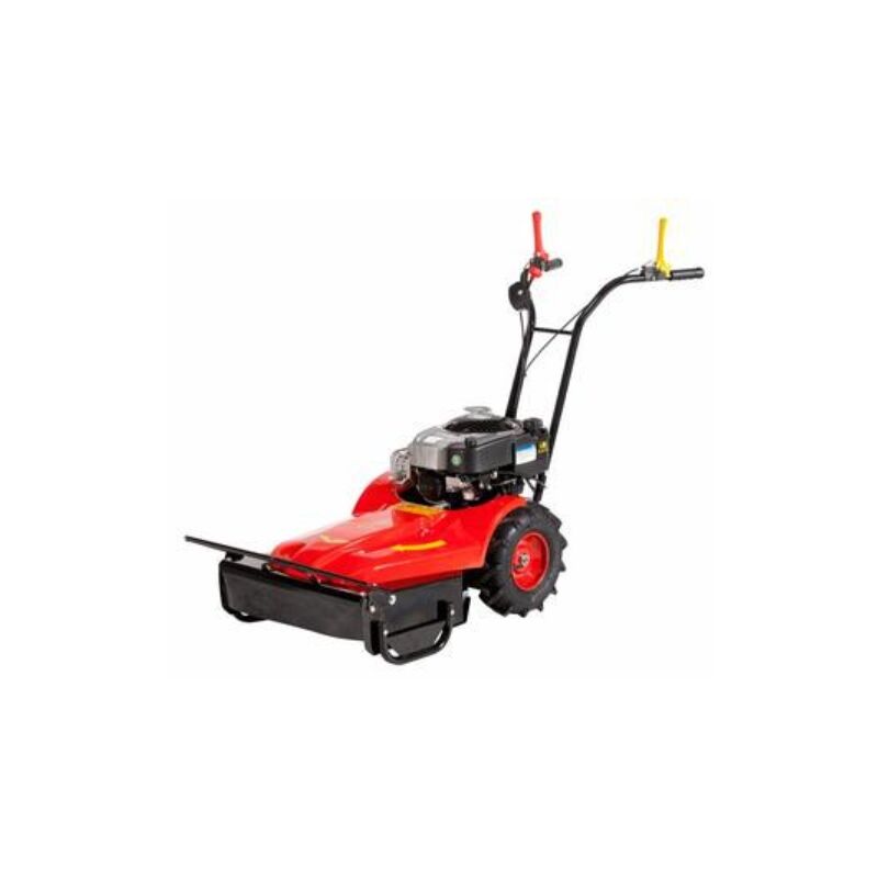 foto del prodotto rotofalce meccanica benassi rf219 motore briggs stratton benzina lavoro 55 cm