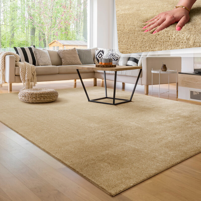 foto del prodotto paco home tappeto moderno per soggiorno a pelo corto lavabile morbido uni effetto pelliccia antiscivolo 120x170 cm, beige