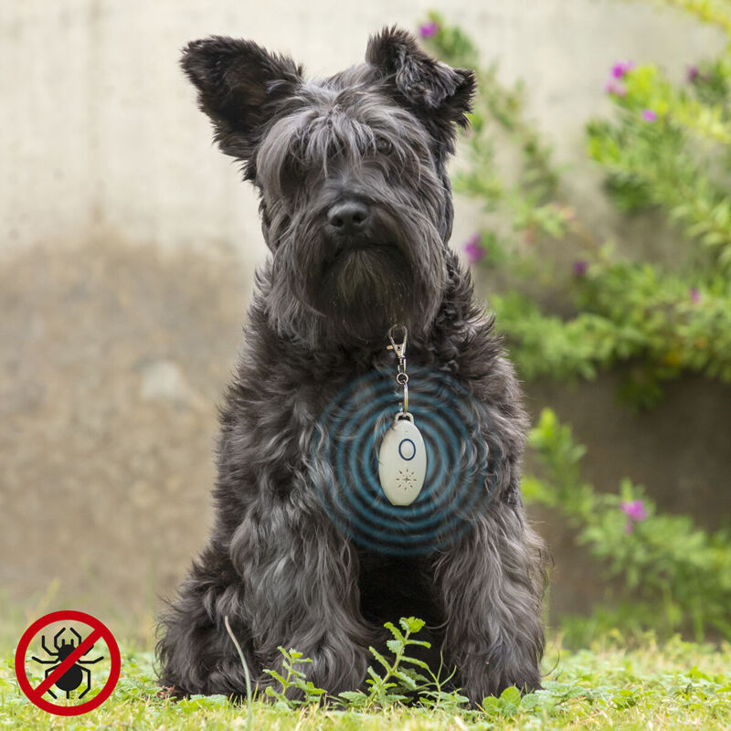 foto del prodotto antiparassitario a ultrasuoni ricaricabile per animali domestici petrep innovagoods