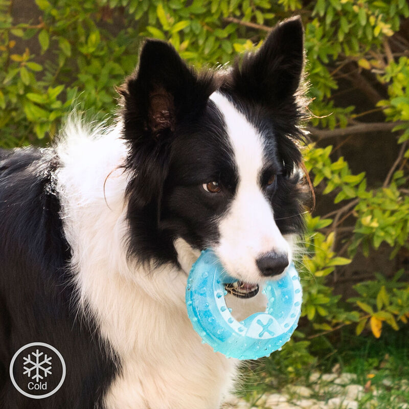 foto del prodotto giocattolo da mordere congelabile per animali domestici 2 in 1 glubiz innovagoods