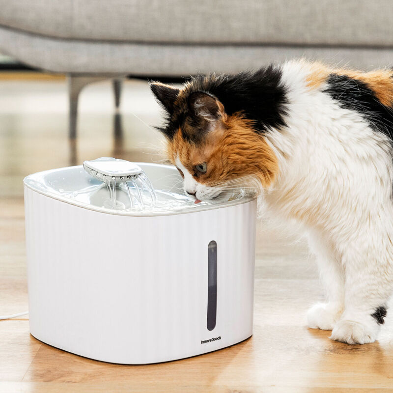 foto del prodotto fontana per animali domestici drinkatt innovagoods
