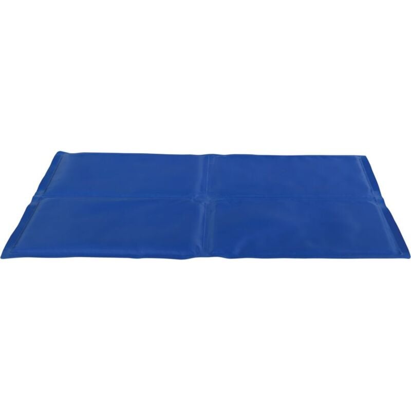foto del prodotto tappetino rinfrescante blu 90 50cm