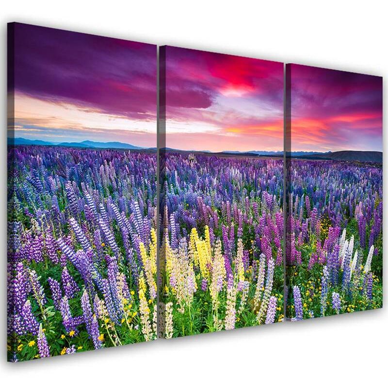 foto del prodotto gbshop quadro su tela 3 pezzi campo di lavanda natura 60x40