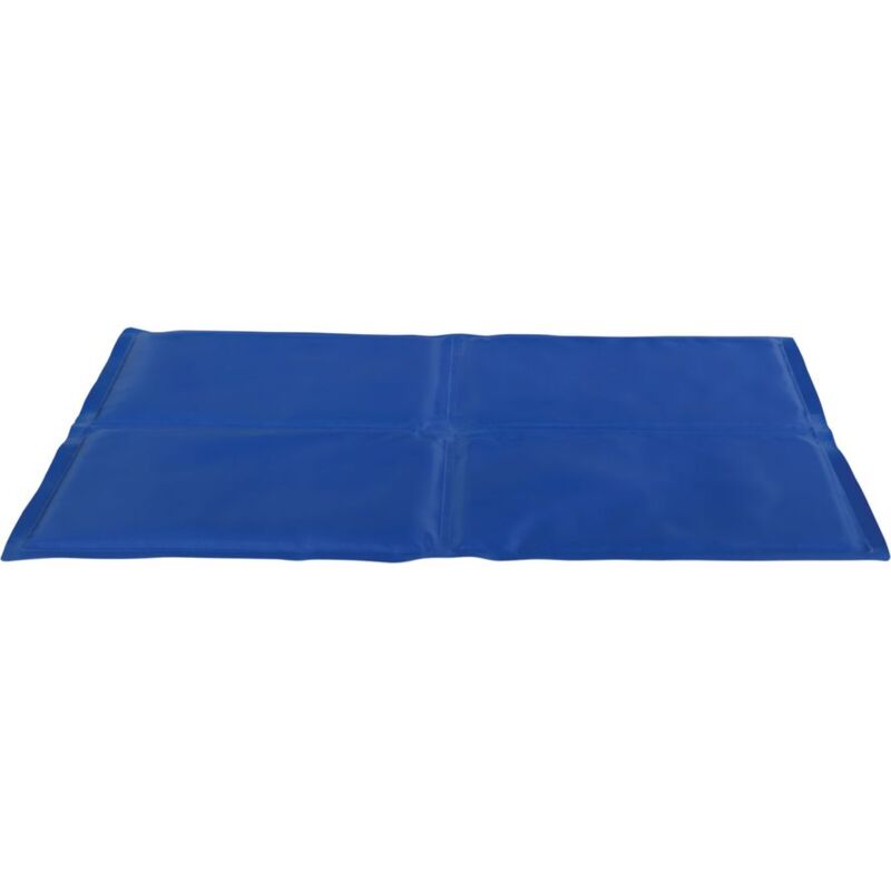 foto del prodotto tappetino rinfrescante blu 100 60cm