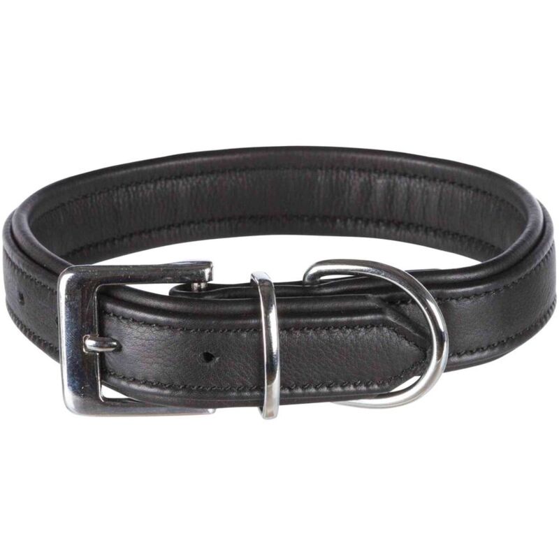 foto del prodotto active comfort collare nero s 31 37cm 25mm