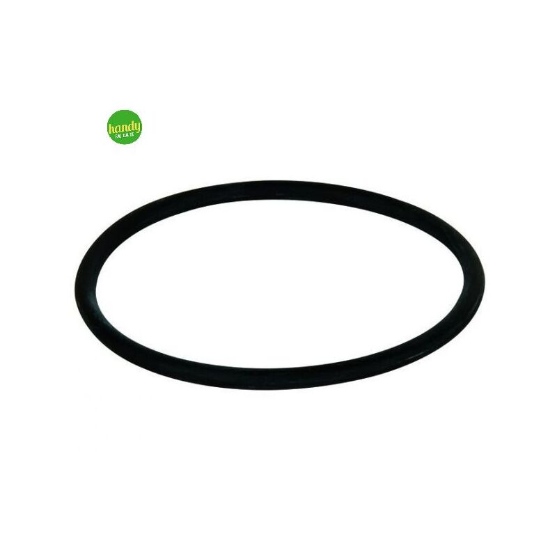 foto del prodotto o ring di tenuta per filtri ambra senior junior