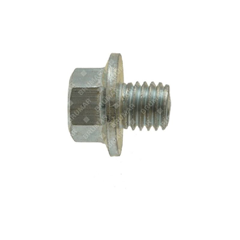 foto del prodotto bullone tappo sfiato mototrivella ag 52 compatibile 040171