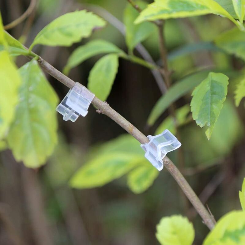 foto del prodotto 100 clip per innesto piante, clip per innesto pomodoro e melanzana, supporto in plastica