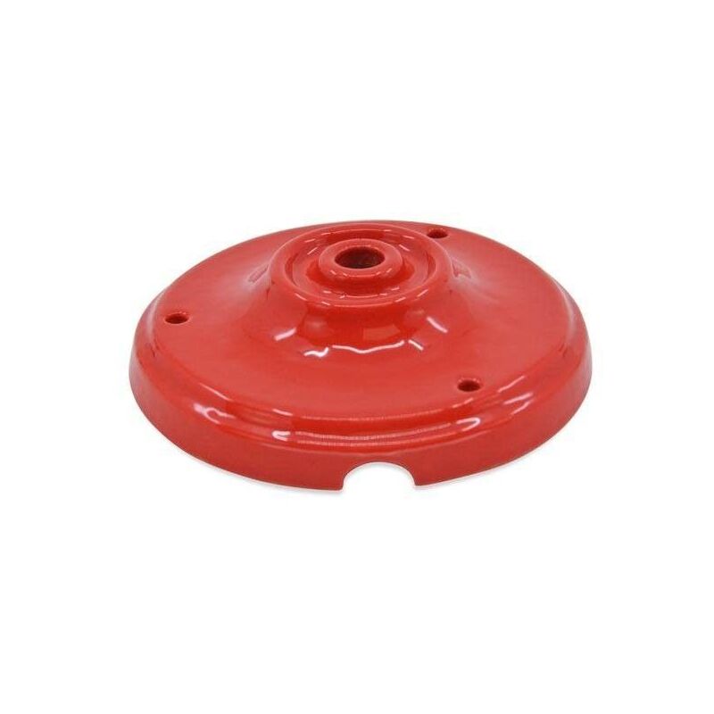 foto del prodotto rosa da soffitto in ceramica canopi