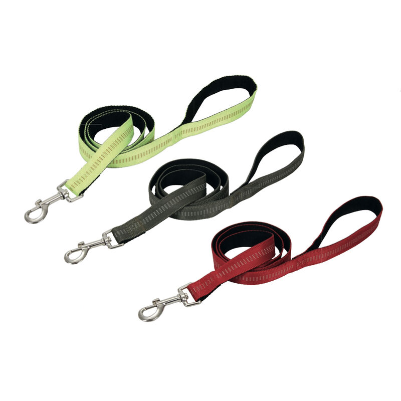 foto del prodotto guinzaglio con moschettone per animali domestici modello color doggy 120cm, misura120cmcoloreverdone