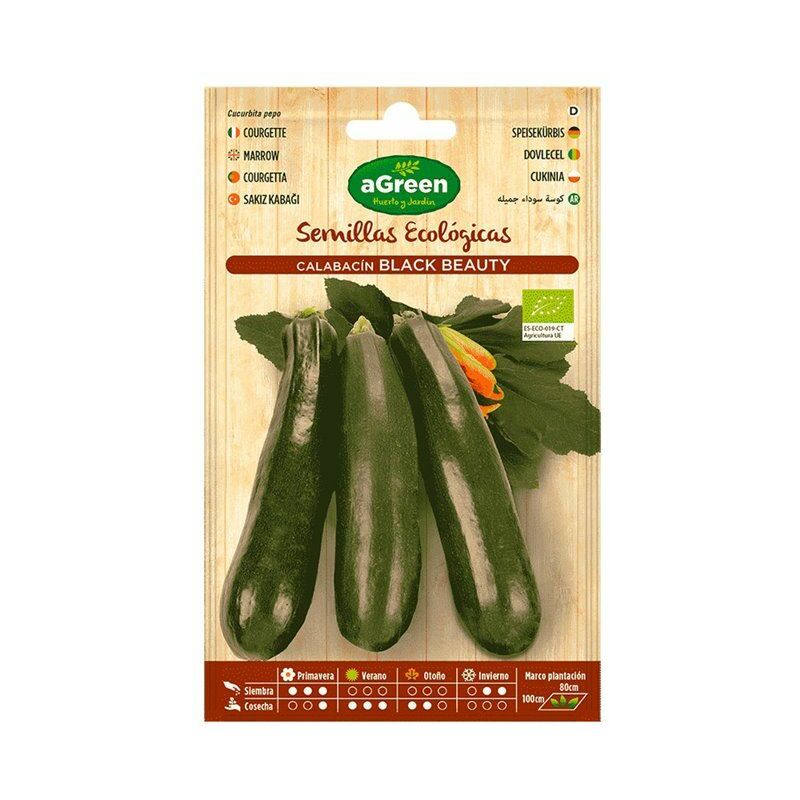 foto del prodotto bustina con semi di zucchina biologici black beauty agreen