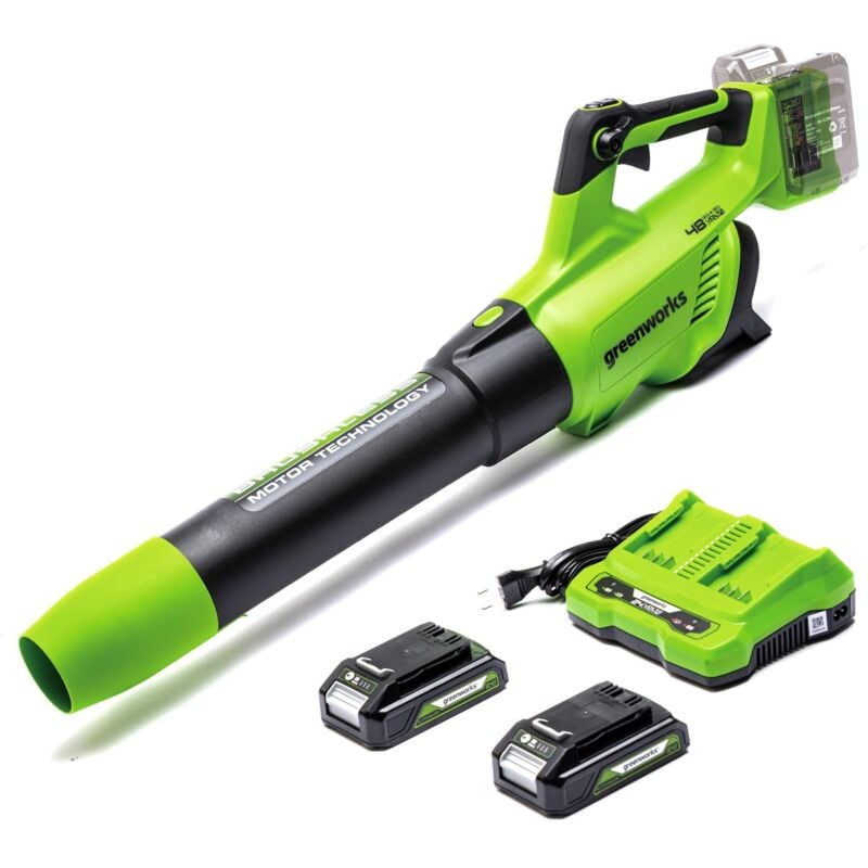 foto del prodotto 48v 2x24v soffiatore foglie assiale a batteria con motore brushless, funzione turbo, 217km h, 16,4m min, con 2 batterie 24v 2ah e caricabatterie,