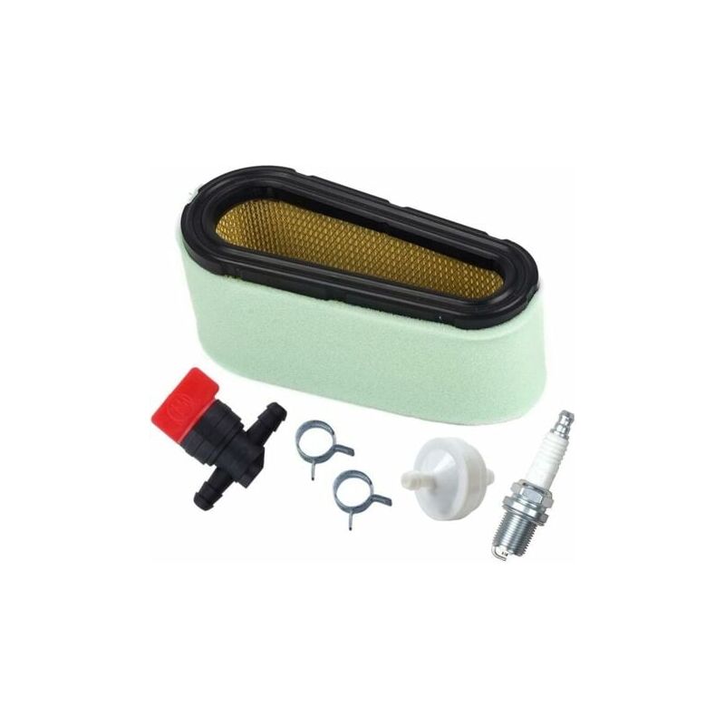 foto del prodotto 496894 kit filtro aria e prefiltro per tosaerba briggs stratton 12,5 17 hp 494768