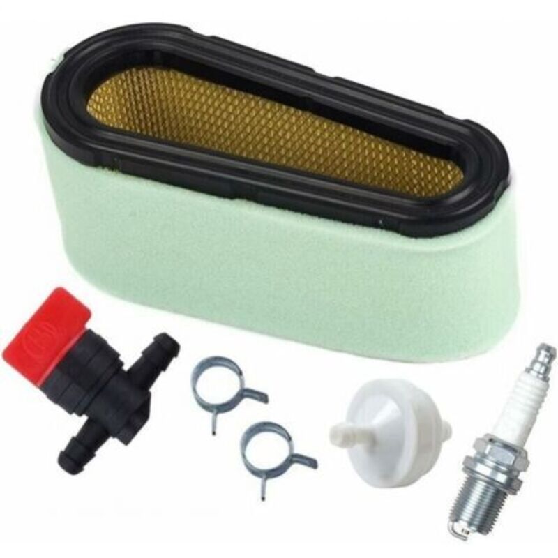 foto del prodotto 496894 kit filtro aria e prefiltro per tosaerba briggs stratton 12,5 17 hp 494768