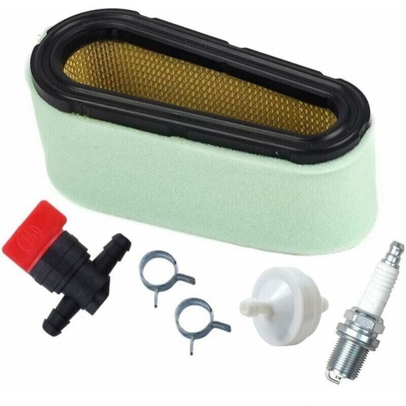 foto del prodotto 496894 kit filtro aria e prefiltro per tosaerba briggs stratton 12,5 17 hp 494768 ymyny