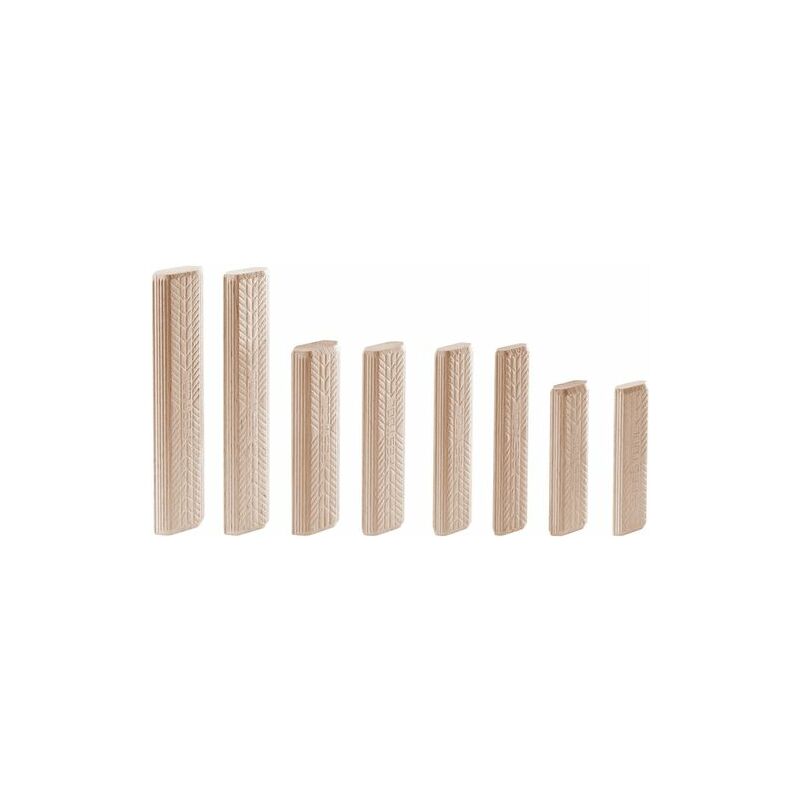foto del prodotto 498216 festool tasselli domino faggio d 12x100 100 bu