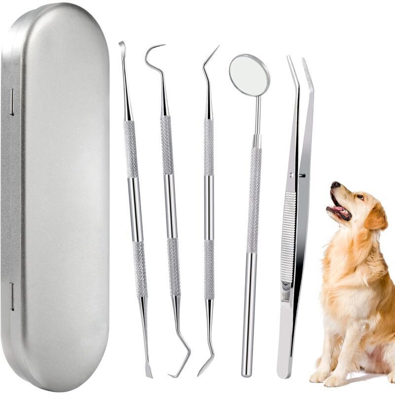 foto del prodotto 5 pezzi con scatola kit per la pulizia dei denti del cane, strumenti orali in acciaio inossidabile, strumenti per la pulizia dei denti degli