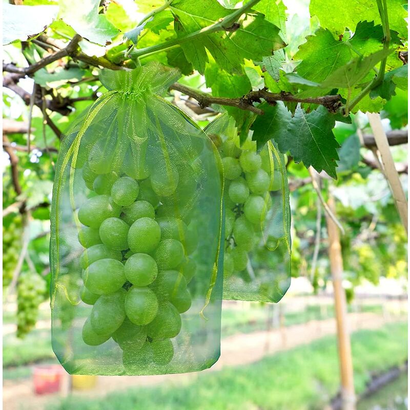 foto del prodotto 50 pezzi sacchetto di protezione del grappolo d uva, sacchetto di frutta in organza con coulisse offre una protezione totale contro vespe, uccelli e