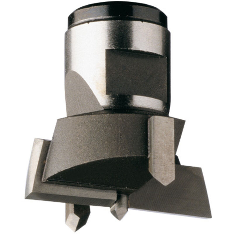 foto del prodotto 501.250.12 punta intercambiabile hw z2 2 s m12x1 d 25x30 sx