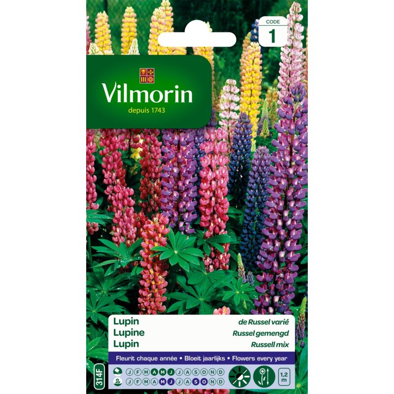 foto del prodotto 5345741 lupin di russel varia, 9 x 0,5 x 16 cm, multicolore vilmorin