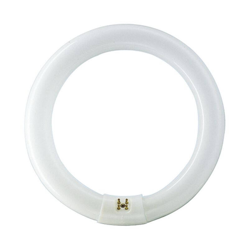foto del prodotto 559562 bulb g10q tl e circular 32w 33 640 1ct 12 2050lm philips
