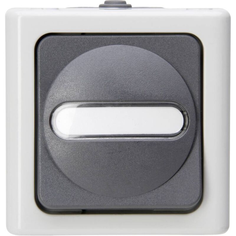 foto del prodotto 560856002 1 pezzo interruttore per ambienti umidi completo pulsanti blueelectric grigio 1 pz. kopp
