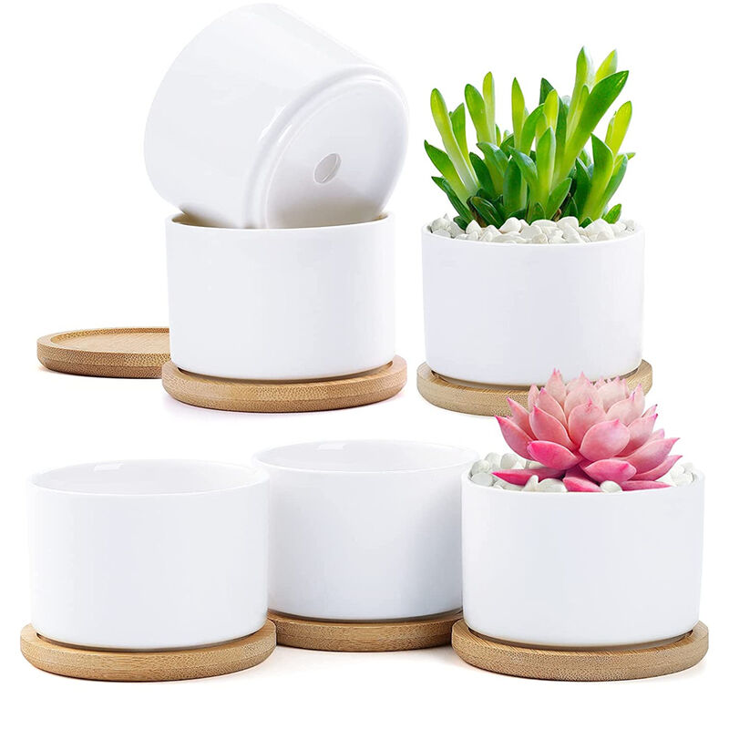 foto del prodotto 6 pcs vasi succulenti in ceramica rotondo vaso di fiori bianco con vassoio in bamb 