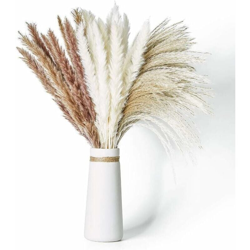 foto del prodotto 60 pezzi 65 cm erba di pampa essiccata naturale con 3 tipi di colore soffice e oscillante fai da te pianta boh mien per composizioni floreali per