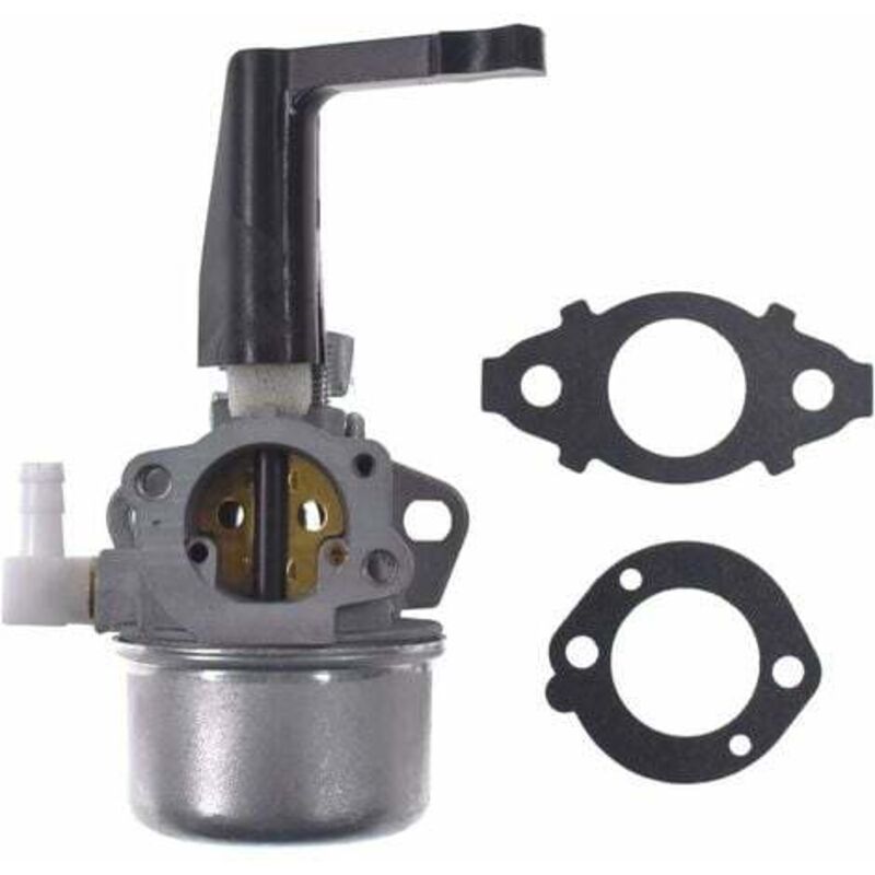 foto del prodotto 696065 carburatore di ricambio con kit guarnizioni per briggs &amp; stratton