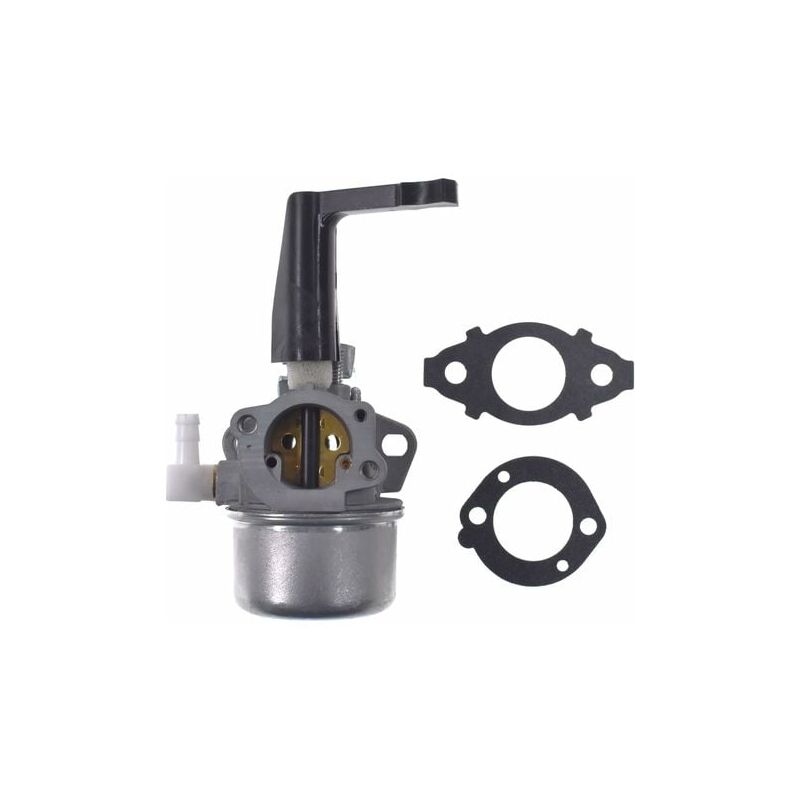 foto del prodotto 696065 carburatore di ricambio con kit guarnizioni per briggs stratton