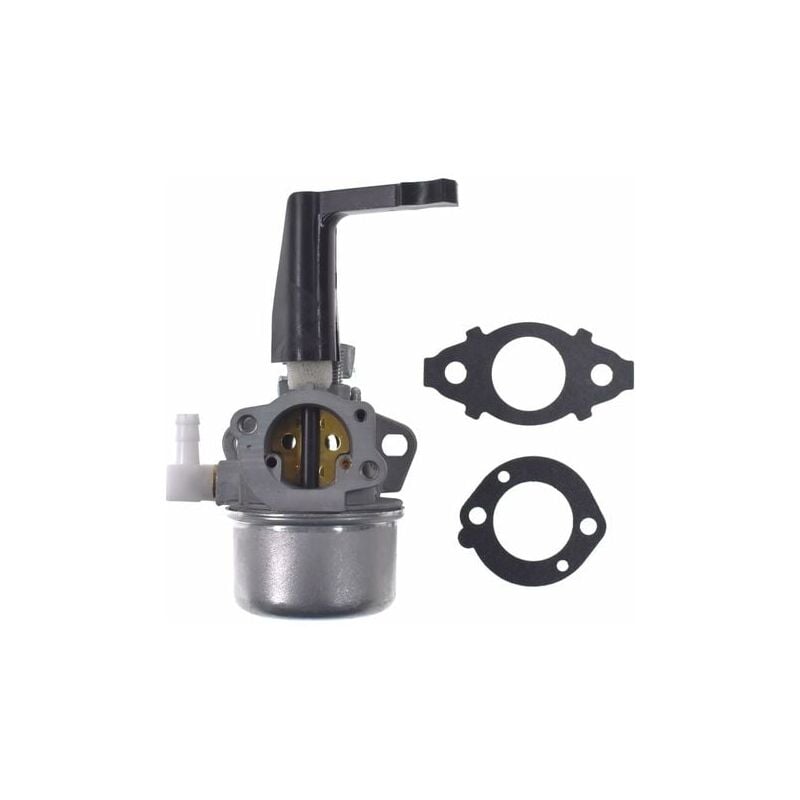 foto del prodotto 696065 carburatore di ricambio con kit guarnizioni per briggs stratton
