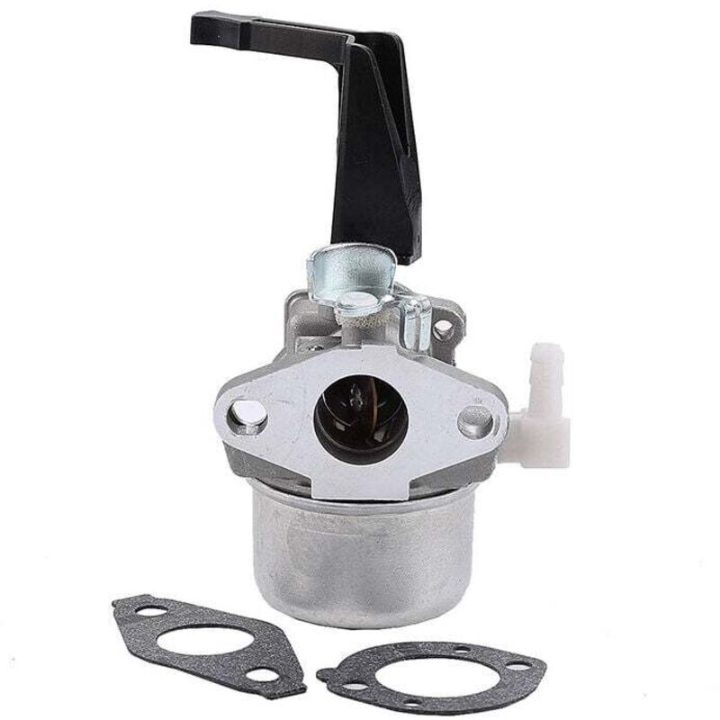 foto del prodotto 696065 carburatore per briggs stratton 696065 697422 110402 0206 e1